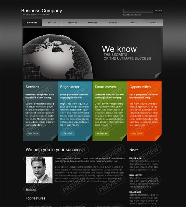 globe web design theme - Business Company